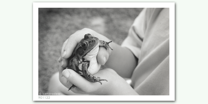photograph of boy with frog
