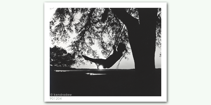 photograph of girl swinging from tree