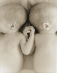 photograph of babies holding hands