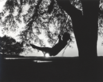 photograph of girl swinging from tree