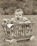 photograph of baby in wagon